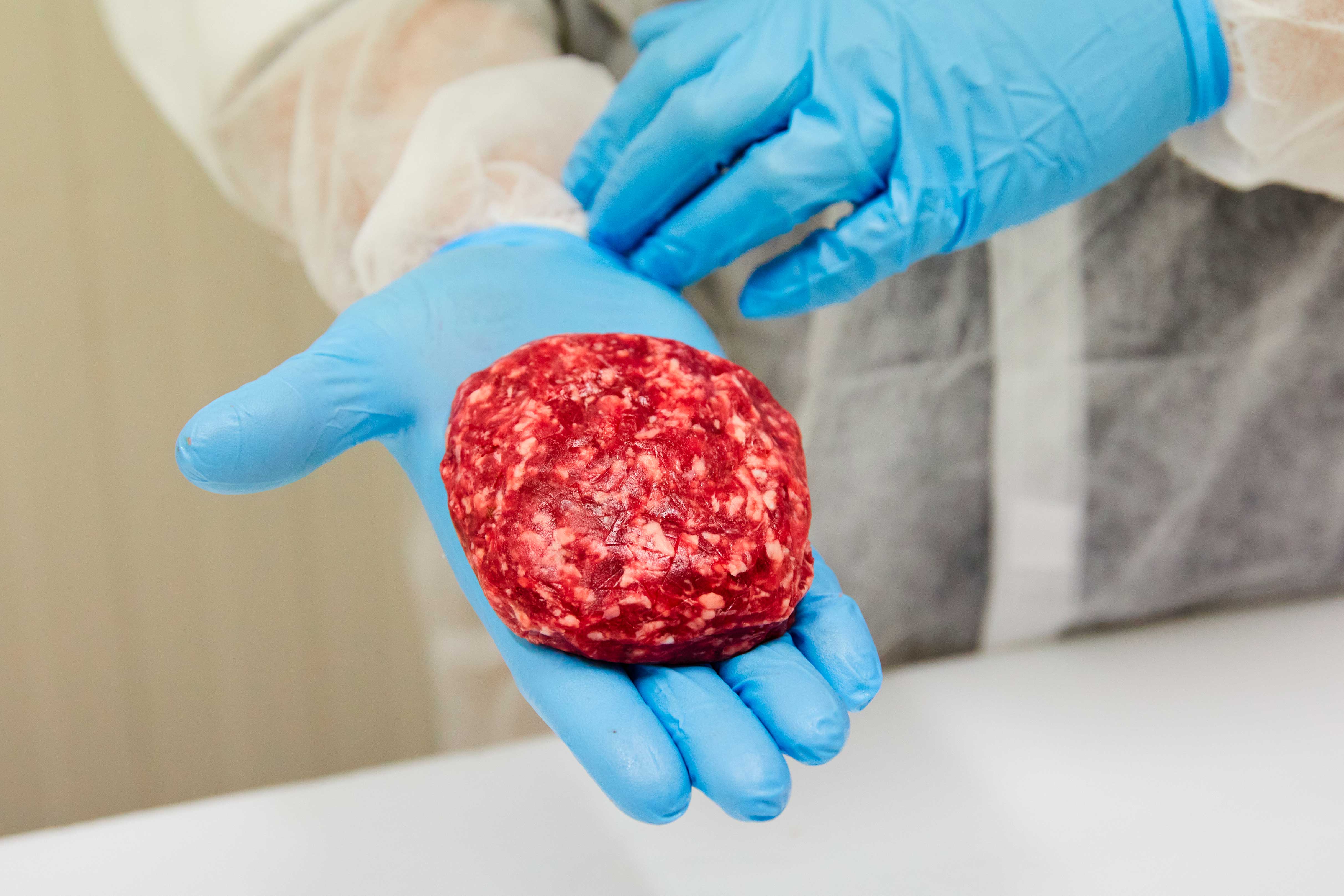 Burger di Fassona di razza piemontese, Macelleria Cazzamali, Romanengo