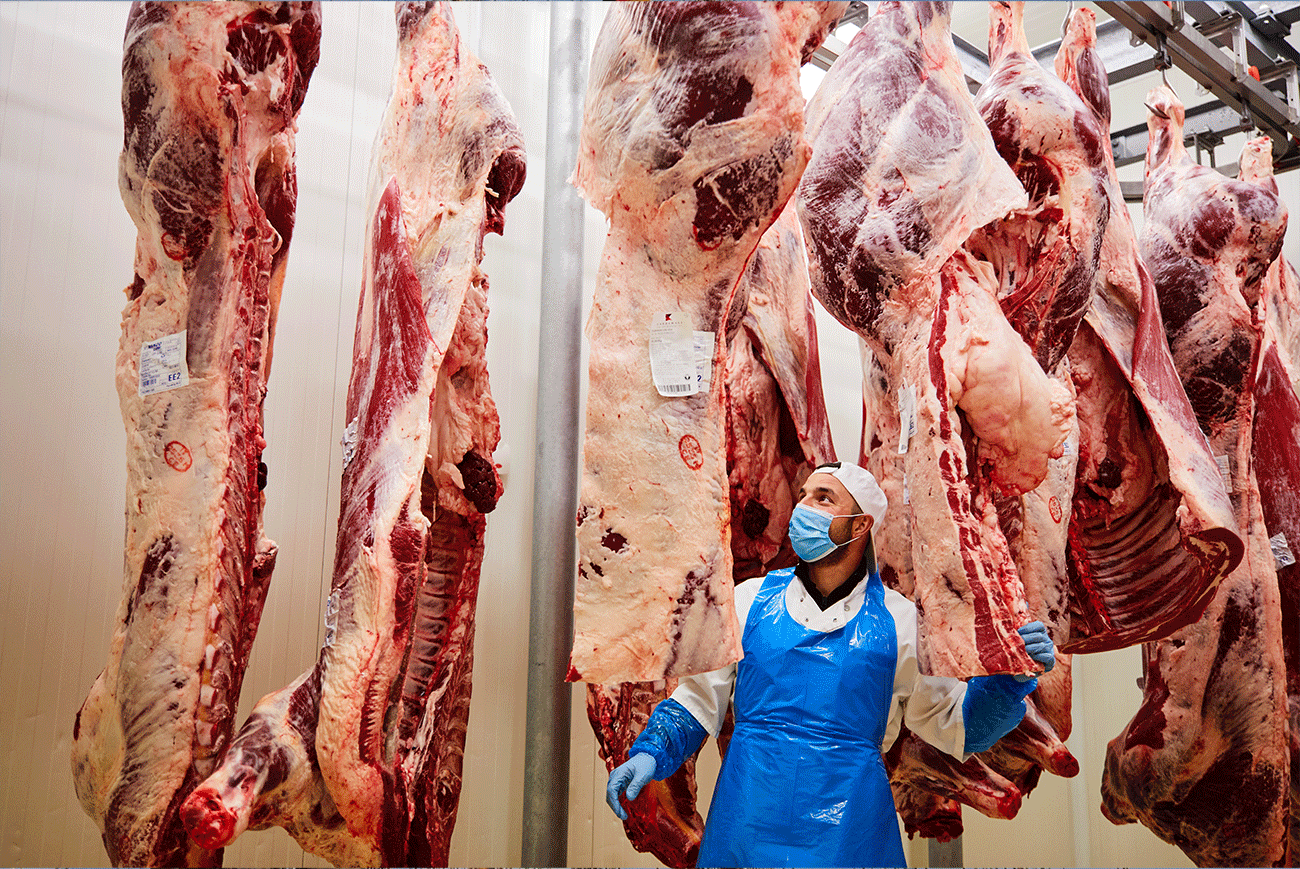 Marco Cazzamali con mezzene di Fassona di razza piemontese - Macelleria Cazzamali - Romanengo (CR) Marco Cazzamali con mezzene di Fassona di razza piemontese - Macelleria Cazzamali - Romanengo (CR)