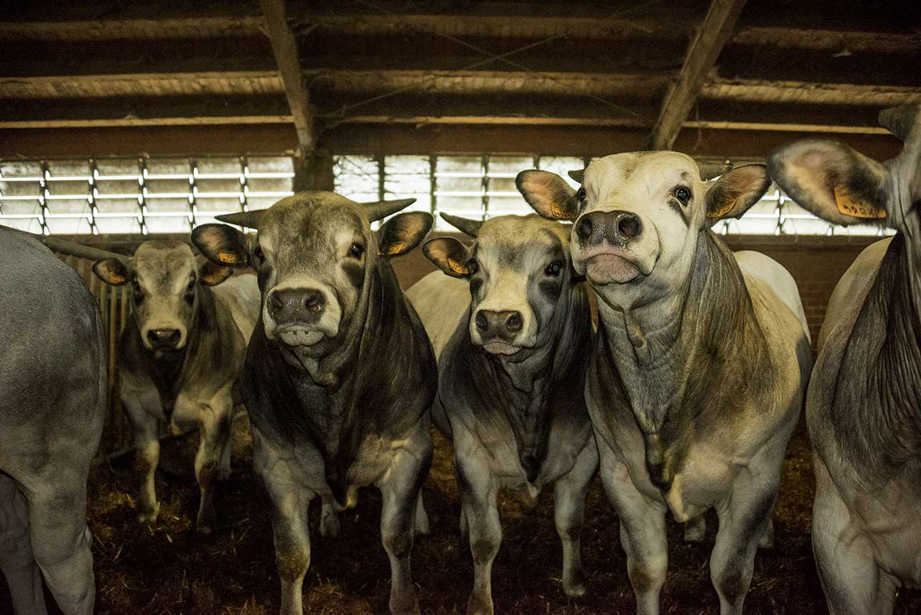 Un progetto gastronomico di economia circolare