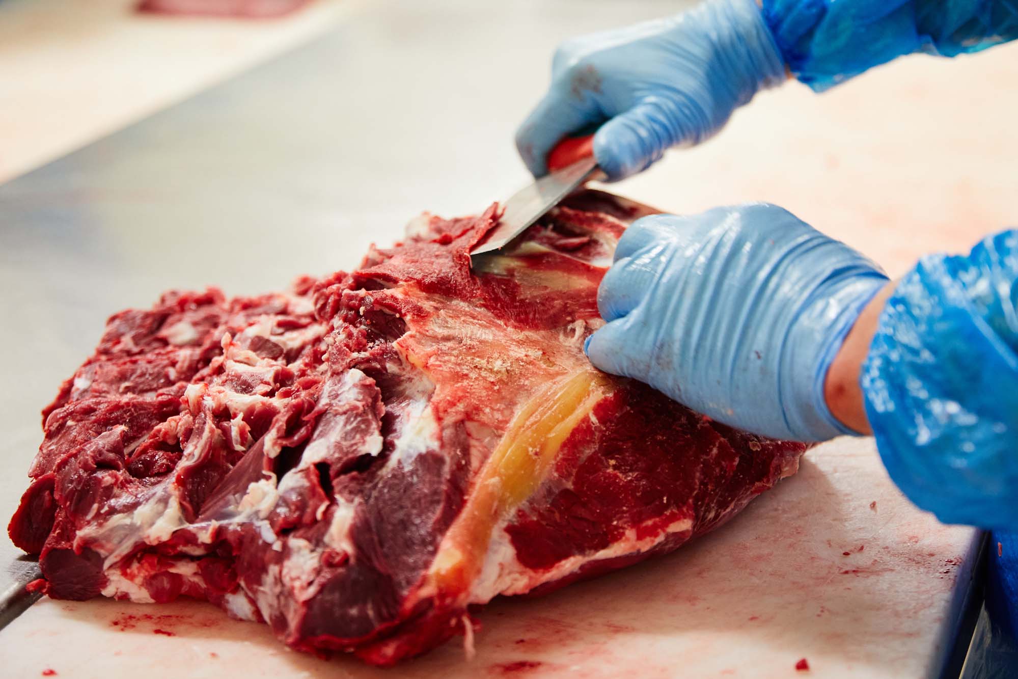 anteriore fassona piemontese cazzamali anteriore fassona piemontese cazzamali